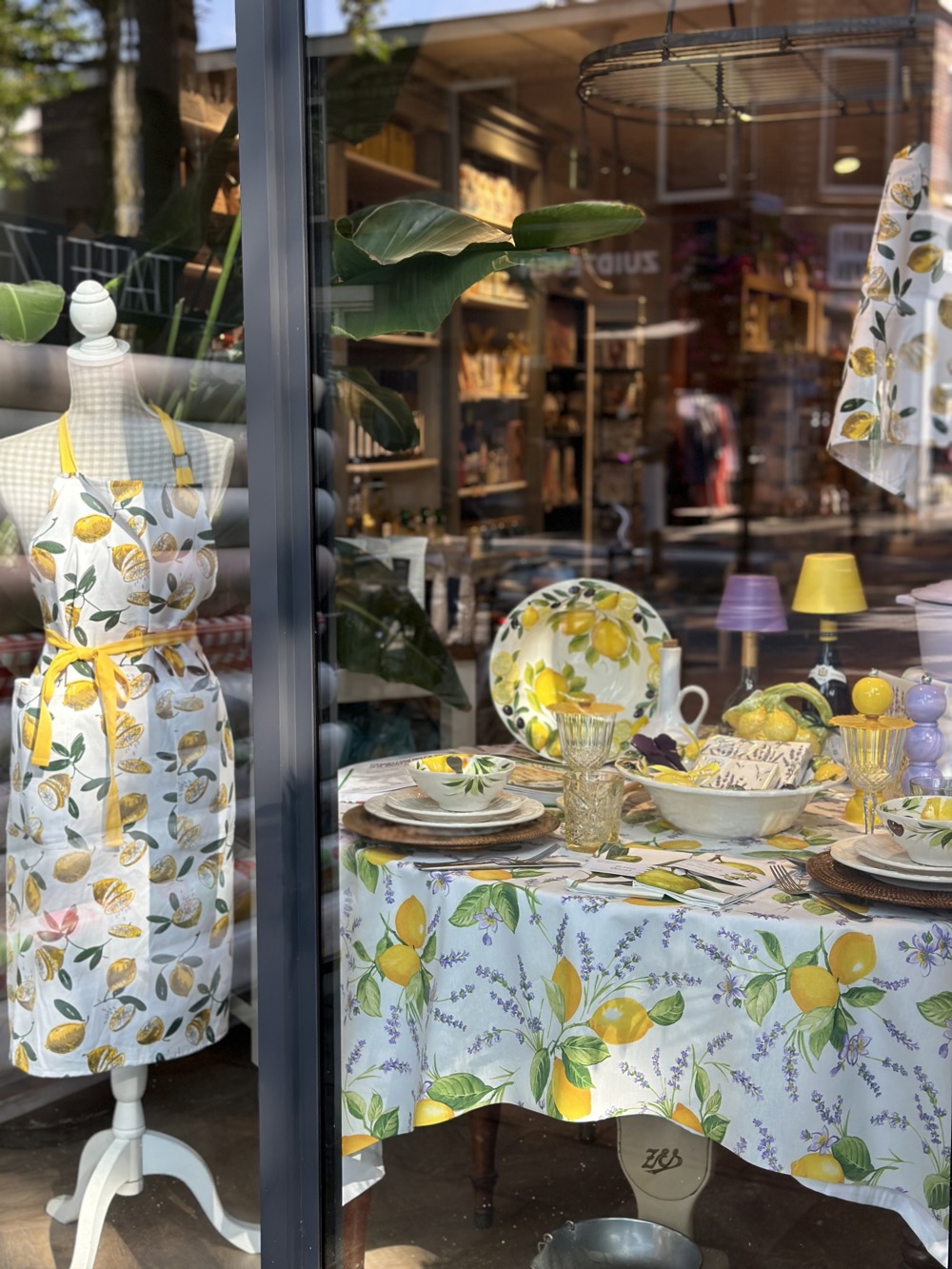 Window Display Provence